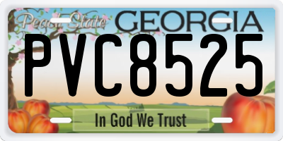 GA license plate PVC8525