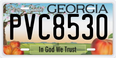 GA license plate PVC8530