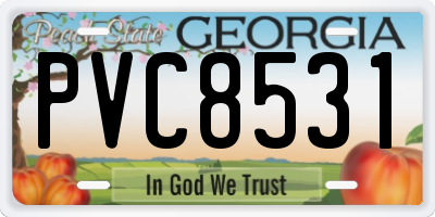 GA license plate PVC8531