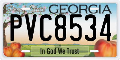 GA license plate PVC8534