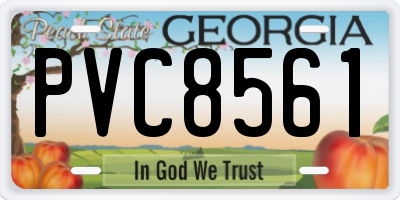 GA license plate PVC8561