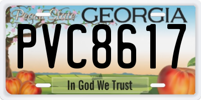 GA license plate PVC8617