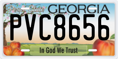 GA license plate PVC8656