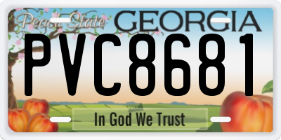 GA license plate PVC8681