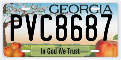 GA license plate PVC8687