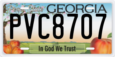 GA license plate PVC8707