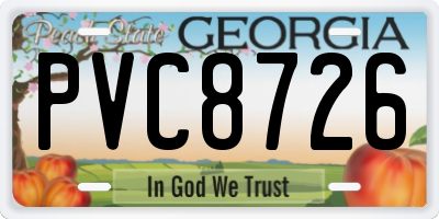 GA license plate PVC8726