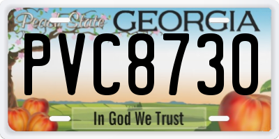 GA license plate PVC8730