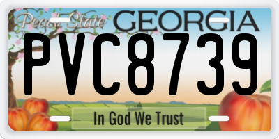 GA license plate PVC8739