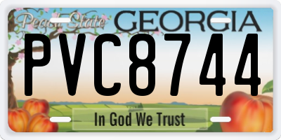 GA license plate PVC8744