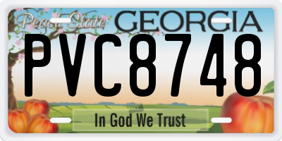GA license plate PVC8748