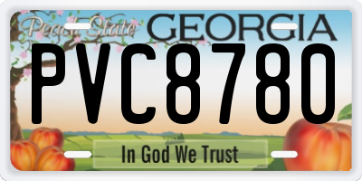 GA license plate PVC8780