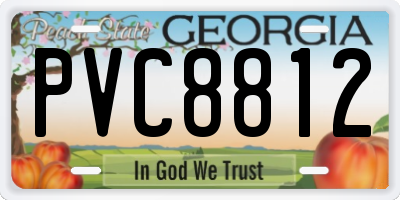GA license plate PVC8812