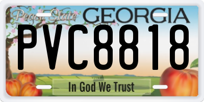 GA license plate PVC8818