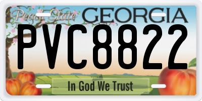 GA license plate PVC8822