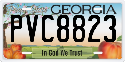 GA license plate PVC8823