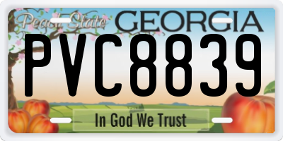 GA license plate PVC8839