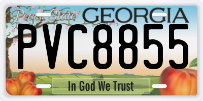 GA license plate PVC8855