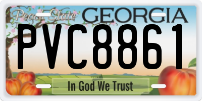 GA license plate PVC8861