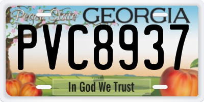 GA license plate PVC8937