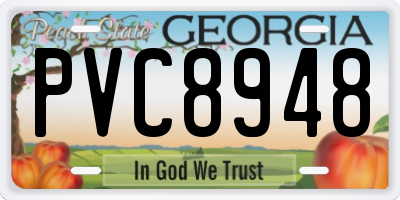GA license plate PVC8948