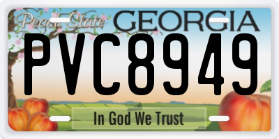 GA license plate PVC8949