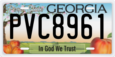 GA license plate PVC8961