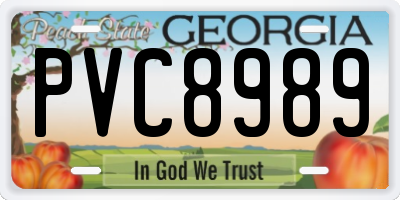 GA license plate PVC8989
