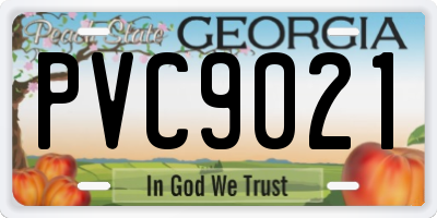 GA license plate PVC9021