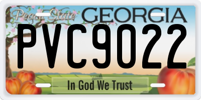 GA license plate PVC9022