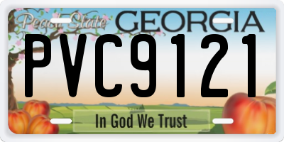GA license plate PVC9121