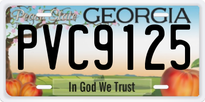 GA license plate PVC9125