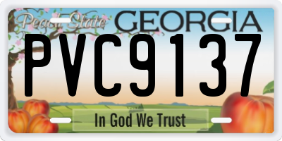 GA license plate PVC9137