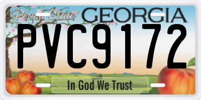 GA license plate PVC9172