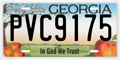 GA license plate PVC9175