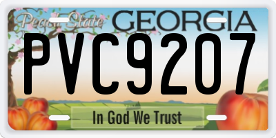 GA license plate PVC9207
