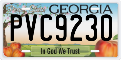 GA license plate PVC9230