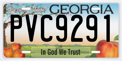 GA license plate PVC9291