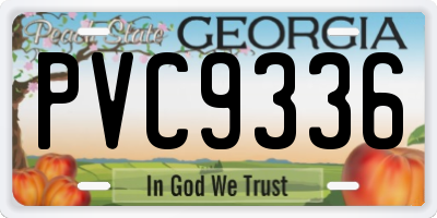 GA license plate PVC9336