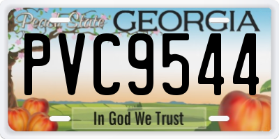 GA license plate PVC9544