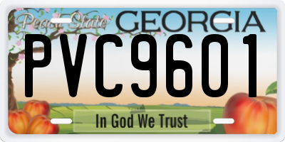 GA license plate PVC9601