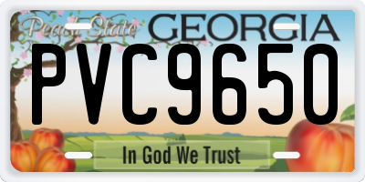 GA license plate PVC9650