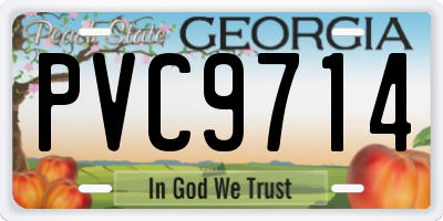 GA license plate PVC9714