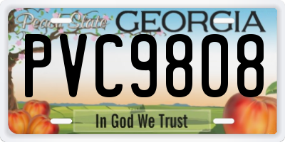 GA license plate PVC9808