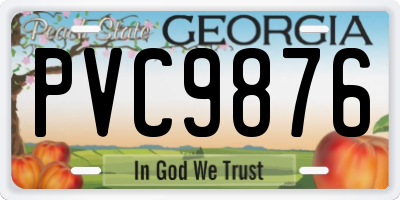 GA license plate PVC9876