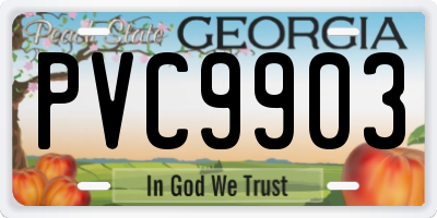 GA license plate PVC9903