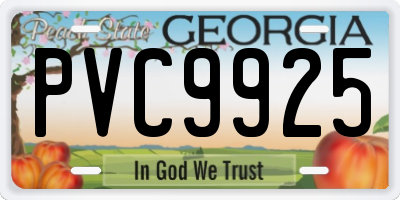GA license plate PVC9925