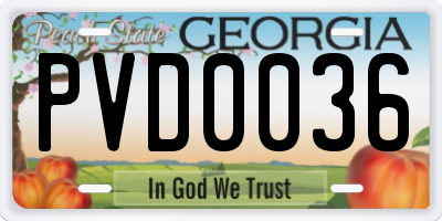 GA license plate PVD0036