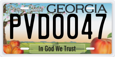 GA license plate PVD0047