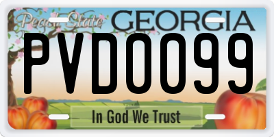 GA license plate PVD0099